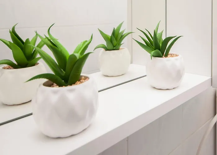 Family & Mikelin 게스트하우스 3*