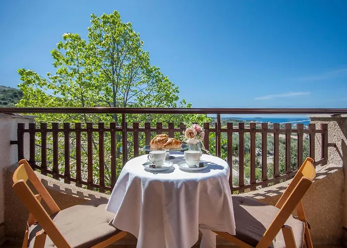 & Mikelin Guest house