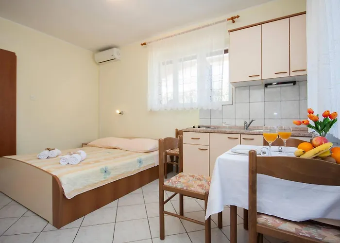 Family & Mikelin 프리모스턴